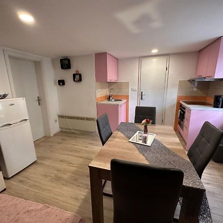 Apartman Rose 萨格勒布 外观 照片