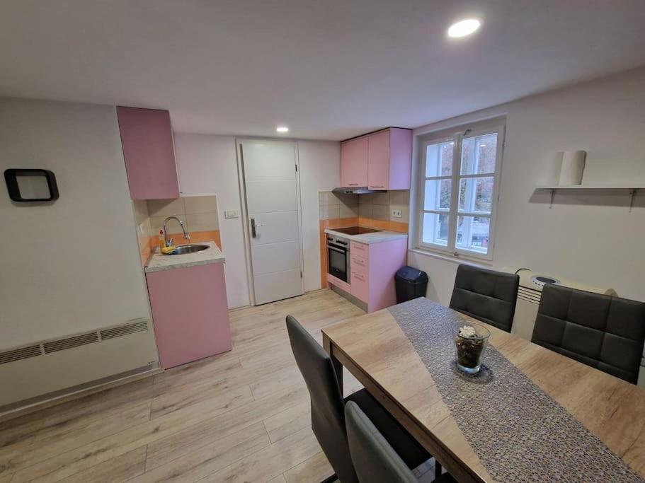 Apartman Rose 萨格勒布 外观 照片